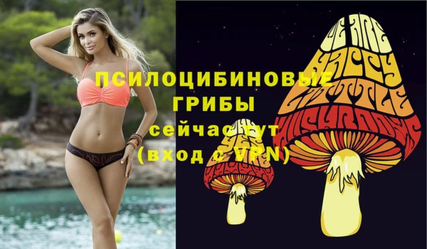 хмурый Киреевск